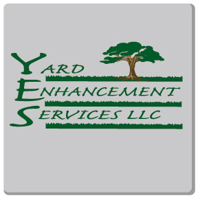 3 color design on ash grey t-shirt. Green beown and metalic gold