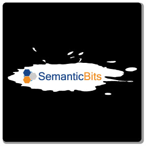 Semantics bits logo 4 color design on black t-shirt
